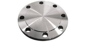 Blind Flange produced by Pooja Steel India