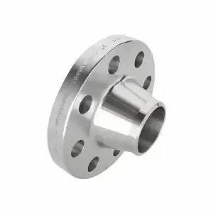 Weld Neck flange produced by Pooja Steel India